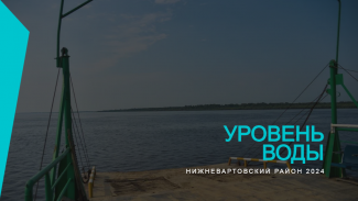 ДАННЫЕ ПО УРОВНЮ ВОДЫ НА 12.07.2024