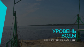 ДАННЫЕ ПО УРОВНЮ ВОДЫ НА 28.08.2024