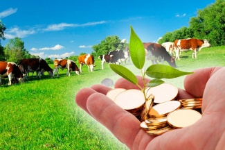 Внимание! Объявлен конкурс по предоставлению гранта в форме субсидии на развитие семейных животноводческих ферм на базе КФХ.