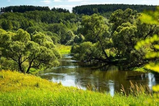 ГО И ЧС ИНФОРМИРУЕТ: УРОВЕНЬ ВОДЫ