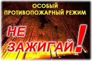 В НИЖНЕВАРТОВСКОМ РАЙОНЕ ВВЕДЁН ОСОБЫЙ ПРОТИВОПОЖАРНЫЙ РЕЖИМ.