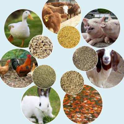 Дистанционные курсы повышения квалификации по программе «Современные кормовые добавки для повышения продуктивности сельскохозяйственных животных, пушных зверей и птицы»