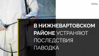 В НИЖНЕВАРТОВСКОМ РАЙОНЕ УСТРАНЯЮТ ПОСЛЕДСТВИЯ ПАВОДКА