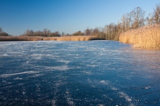 О ТОЛЩИНЕ ЛЬДА НА ВОДНЫХ ОБЪЕКТАХ РАЙОНА