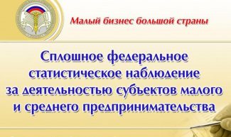 О размещении видеоролика "О проведении сплошного федерального статистического наблюдения за деятельностью субъектов малого и среднего предпринимательства за 2020 год".