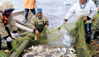 Начинается прием заявок на предоставление водных биологических ресурсов Югры для организации традиционного рыболовства в 2022 году 