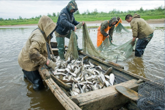 О приёмки заявок на традиционное рыболовство на 2023 год