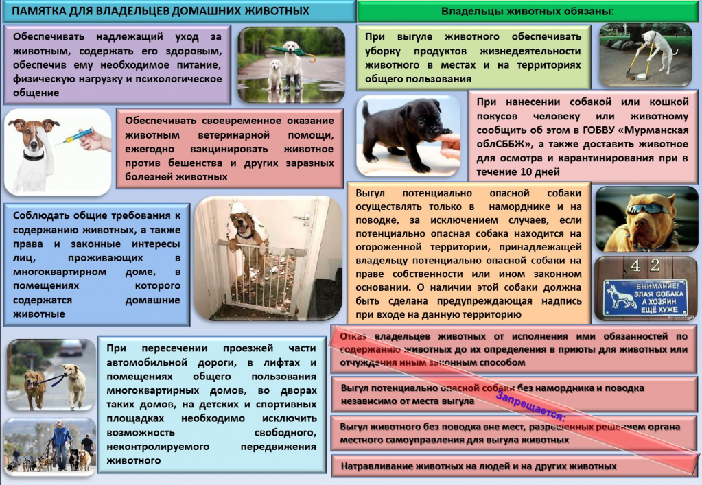 Содержание домашних животных 6 класс технология презентация