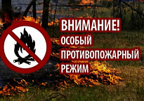 На территории Нижневартовского района с 30 апреля по 10 мая действует особый противопожарный режим! 