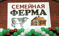 Департамент промышленности Ханты-Мансийского автономного округа – Югры объявил конкурс по предоставлению грантов в форме субсидий на развитие семейных ферм