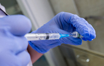 Жителей Нижневартовского района приглашают на вакцинацию против клещевого энцефалита