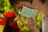Об ухудшении эпизоотической ситуации по высокопатогенному гриппу птиц на территории ряда субъектов Российской Федерации