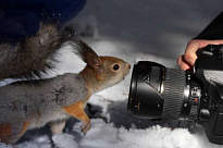 ЖИТЕЛИ РАЙОНА МОГУТ СТАТЬ УЧАСТНИКАМИ «ЭКОЛОГИЧЕСКОЙ ФОТООХОТЫ»