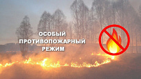 В Югре введен особый противопожарный режим 
